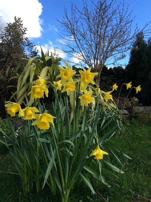 Crosslands Farm Hotel Kendal Esterno foto