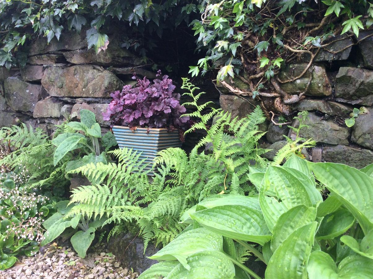 Crosslands Farm Hotel Kendal Esterno foto
